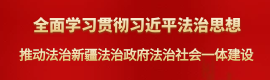 全面学习贯彻习近平法治思想 推动法治新疆法治政府法治社会一体建设